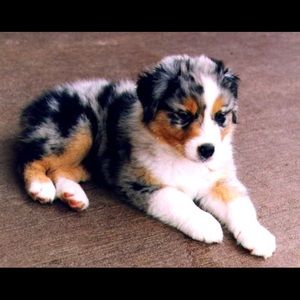 Meet your Posher, Gabrielle